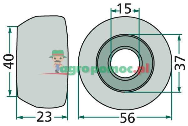 Castor | 491908 | zdjęcie nr 2