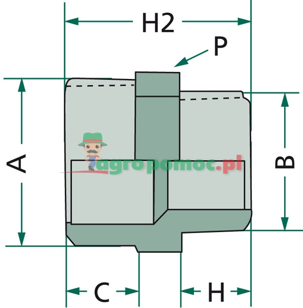 Collar | zdjęcie nr 2