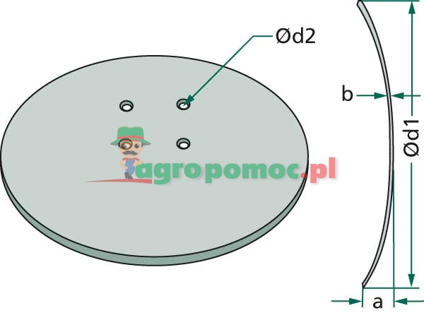 Disc | zdjęcie nr 2
