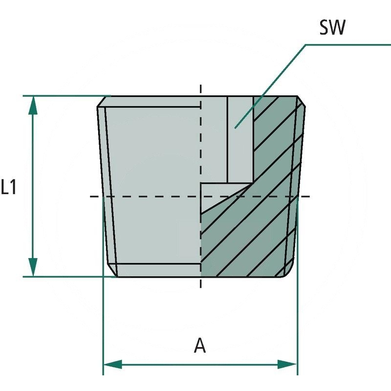 EV 1 M-BSP | zdjęcie nr 2
