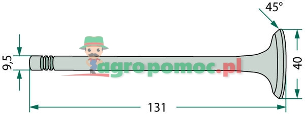 Exhaust valve | R79624, R52252 | zdjęcie nr 2