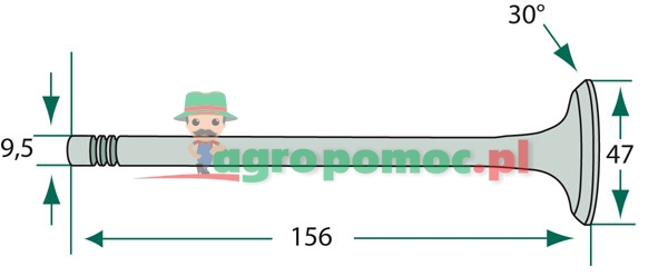 Exhaust valve | R504061, R84619 | zdjęcie nr 2