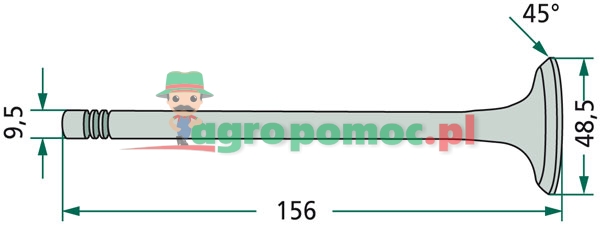 Exhaust valve | R43679 | zdjęcie nr 2