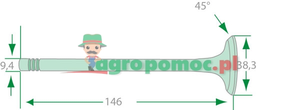 Exhaust valve | 87802262, 87802143 | zdjęcie nr 2