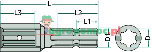 Extension | zdjęcie nr 2