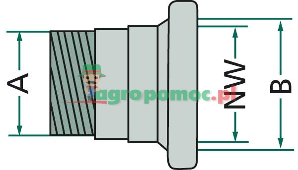 Female fitting | zdjęcie nr 2