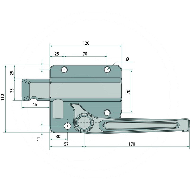 Flat-tongue catch | zdjęcie nr 2