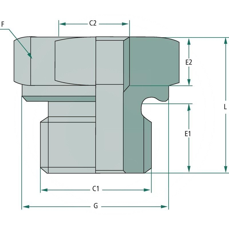 GA 1 1/4 M x 1 F BSP L=52 | RIR 1 1/4-1 | zdjęcie nr 2
