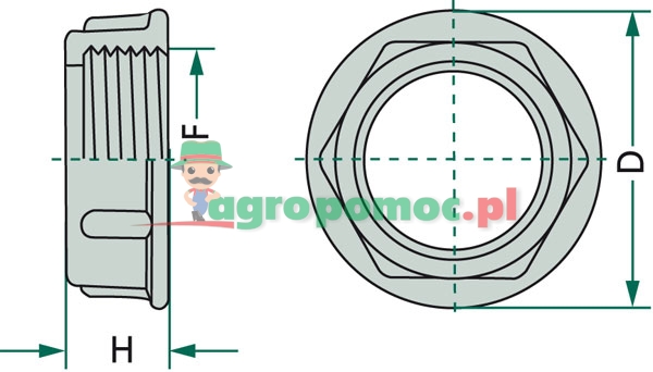 Grooved nut | zdjęcie nr 2