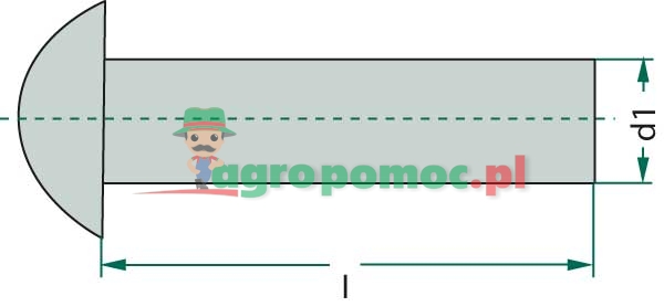 Half-round rivets | zdjęcie nr 2