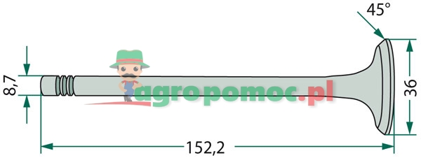 Inlet valve | 717374R1 | zdjęcie nr 2