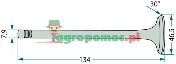 Inlet valve | R98062 | zdjęcie nr 2