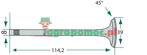 Inlet valve | 957E6507, 81717767 | zdjęcie nr 2