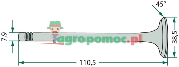 Inlet valve | 1884123M1, 826168M1 | zdjęcie nr 2