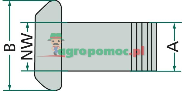 Male fitting | zdjęcie nr 2