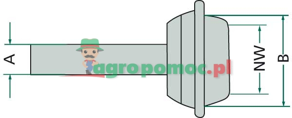 Male fitting | zdjęcie nr 2