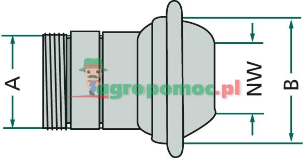 Male-fitting | zdjęcie nr 2