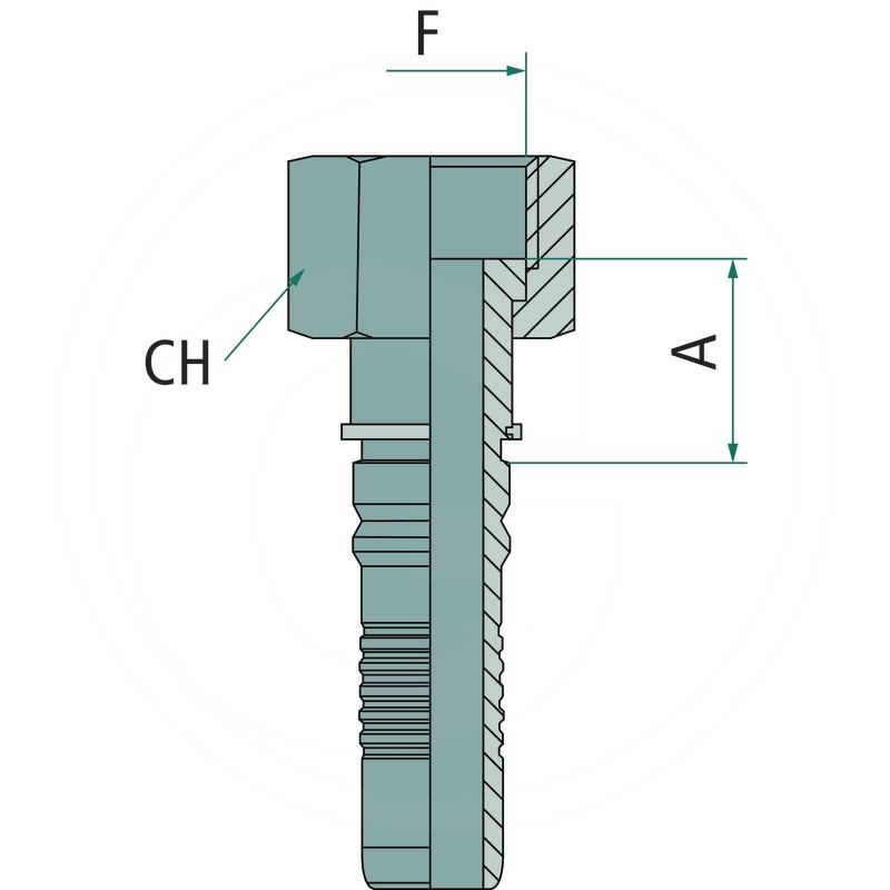 PN 20 DKORF 1.3/16" IL | zdjęcie nr 2