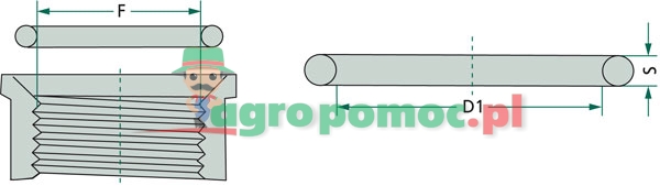 Seal | zdjęcie nr 2