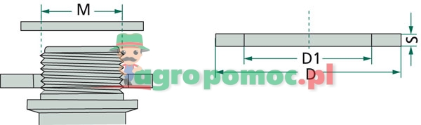 Seal | zdjęcie nr 2