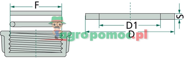 Seal | zdjęcie nr 2