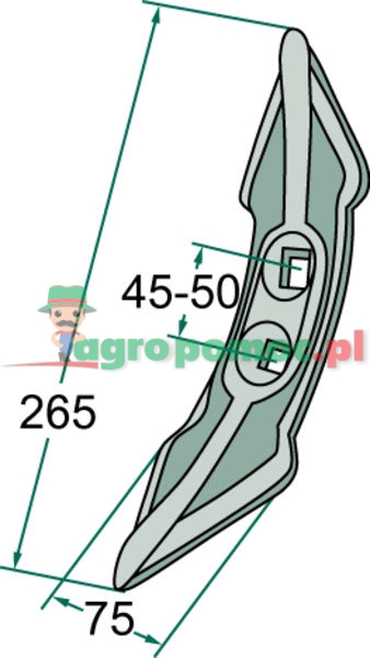 Share | zdjęcie nr 2