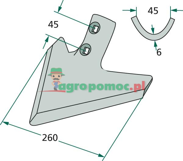 Share | 05000487 | zdjęcie nr 2