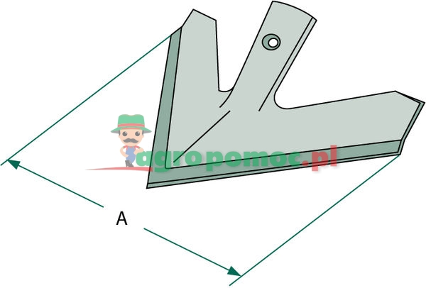 Share | zdjęcie nr 2