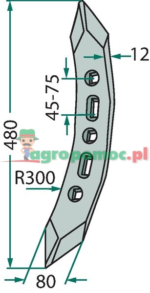 Share point | 662178 | zdjęcie nr 2