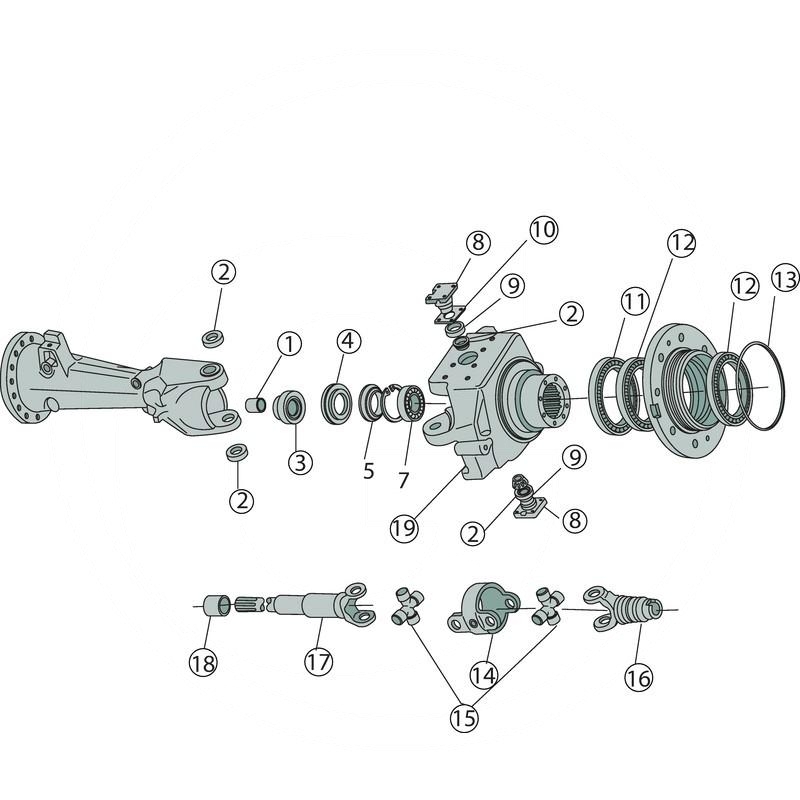 Shim | L116247 | zdjęcie nr 2