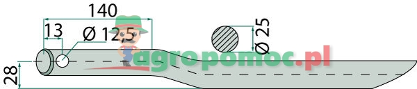 Tine | 18562 | zdjęcie nr 2