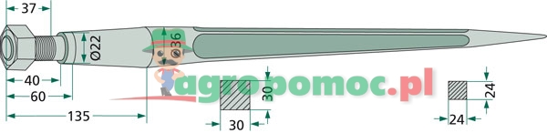 Tine | 18605 | zdjęcie nr 2