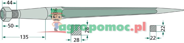 Tine | 5068006, 18682 | zdjęcie nr 2