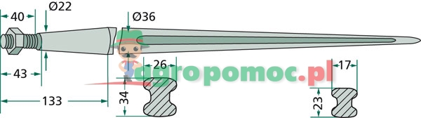 Tine | zdjęcie nr 2