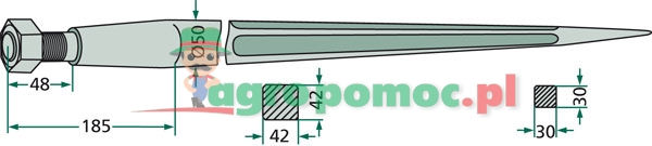 Tine | 18842 | zdjęcie nr 2