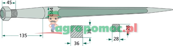 Tine | 23201503, 18844 | zdjęcie nr 2