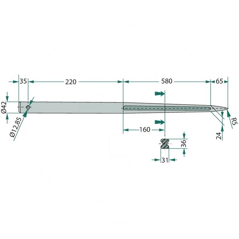 Tine | zdjęcie nr 2