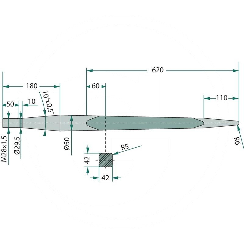 Tine | zdjęcie nr 1