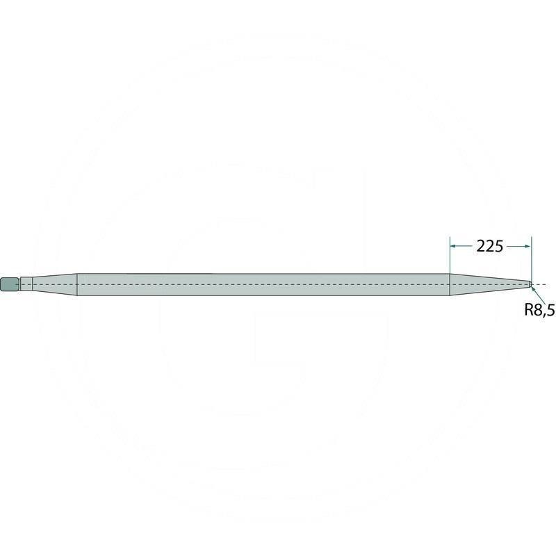Tine | zdjęcie nr 1