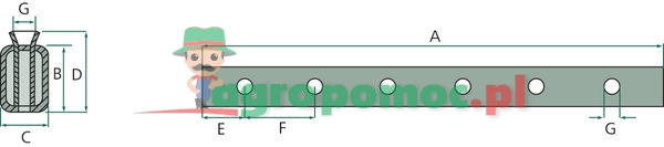 Tine carrier | zdjęcie nr 2