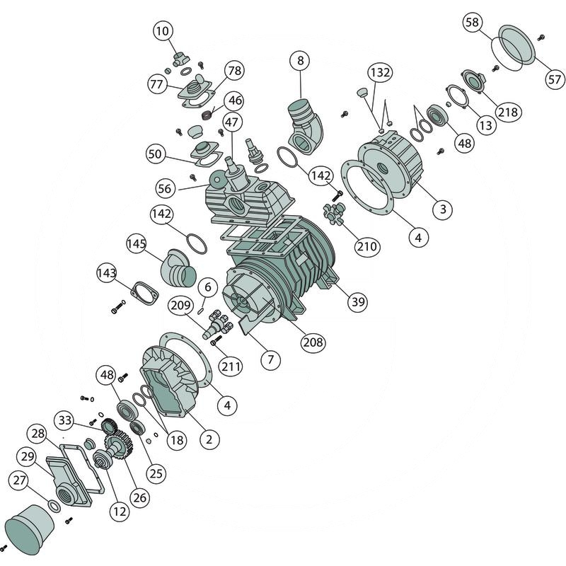 B&P Vane | zdjęcie nr 2