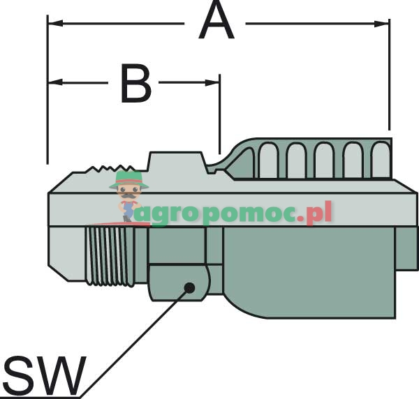 Parker PNE 25 AGJ 1.5/16" | 10348-16-16 | zdjęcie nr 2