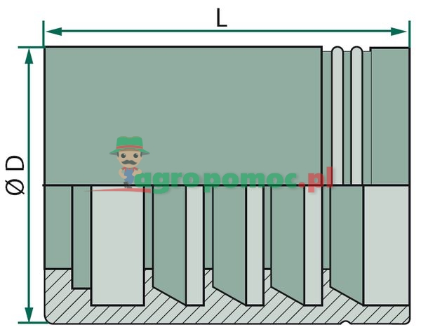 Volz PFN DN 10 - 3/8" 2 SN VA | zdjęcie nr 2
