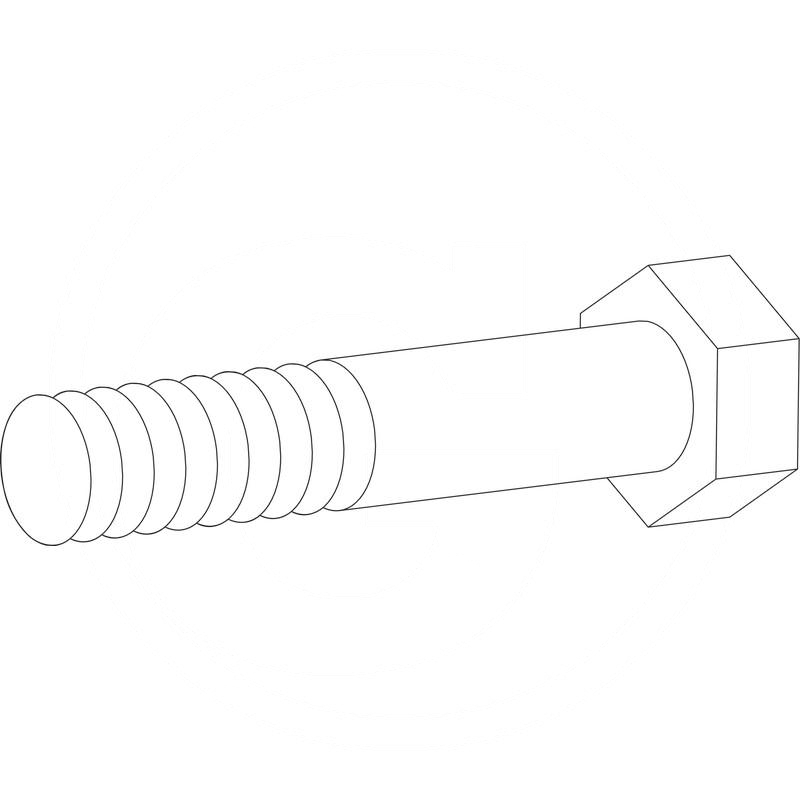 Walterscheid Hexagon screw | 020466, 1020466, 60.06.07 | zdjęcie nr 2