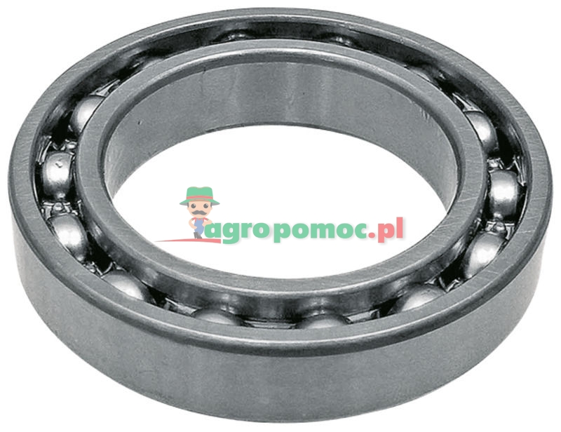 Bearing | 6005009868 | zdjęcie nr 1