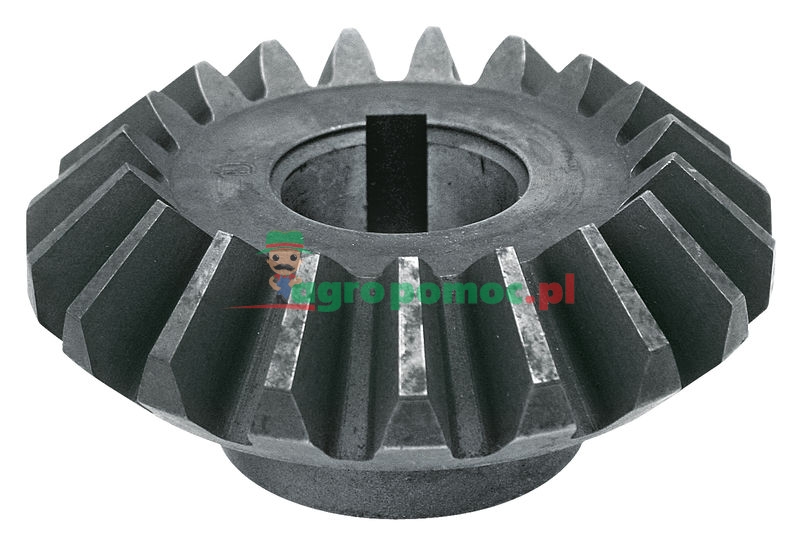 Bevel gear | ET-21 | zdjęcie nr 1