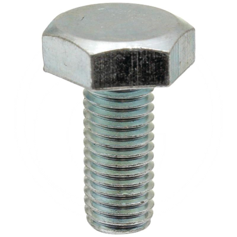 Bolt | zdjęcie nr 1