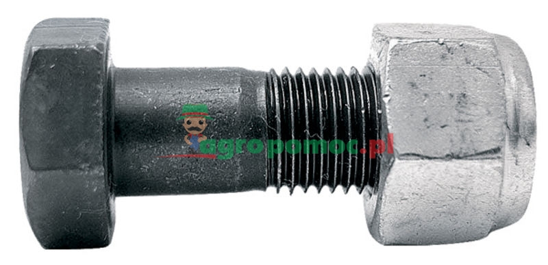 Bolt | zdjęcie nr 1