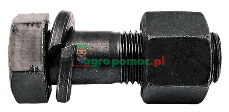 Bolt | zdjęcie nr 1