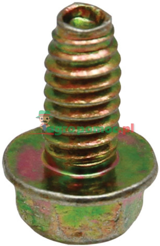 Bolt | 29190167 | zdjęcie nr 1